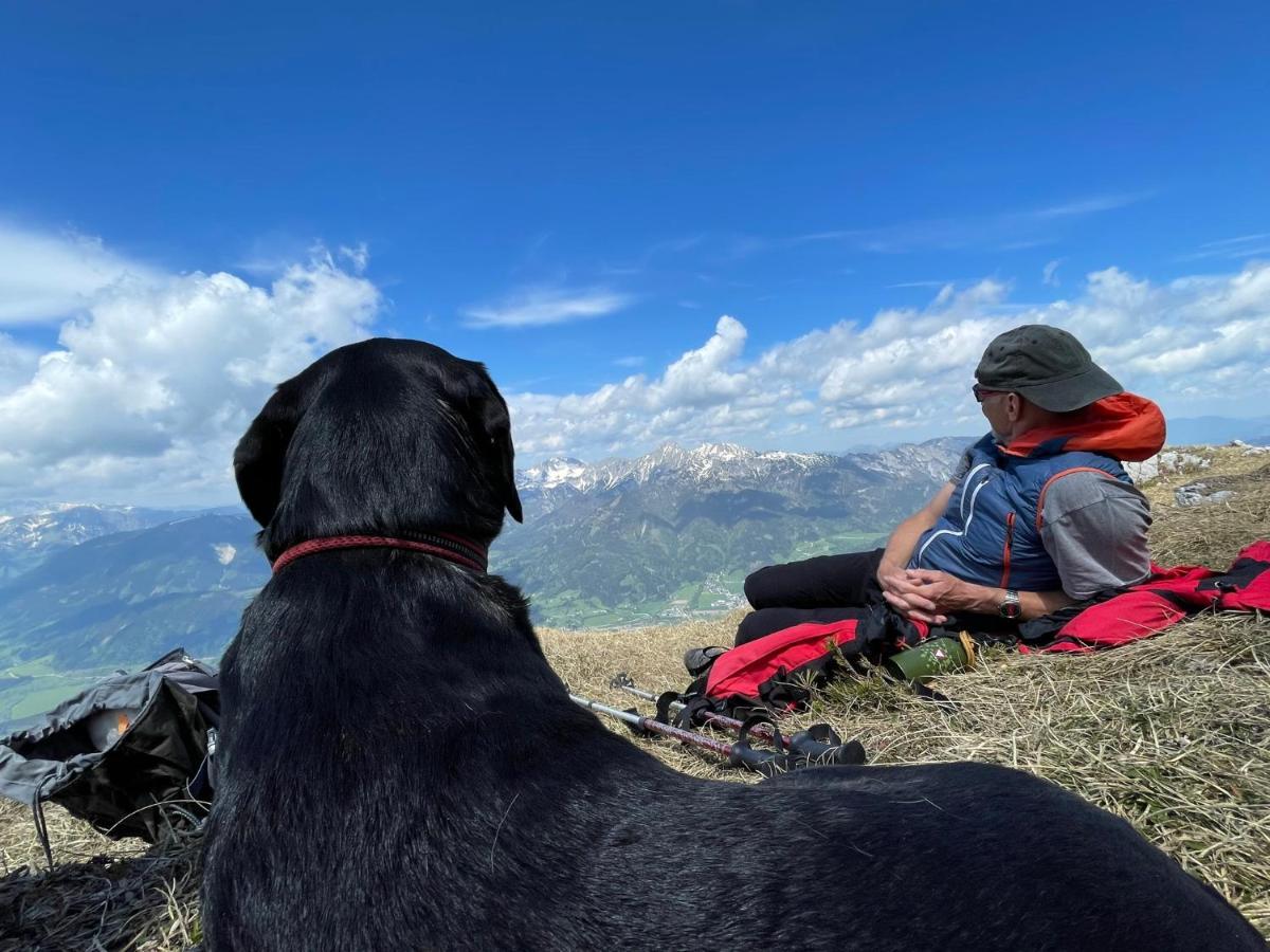 Berghaus Gesaeuse Pension Weng im Gesause Ngoại thất bức ảnh